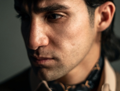 Acting Career During Study in a Law School